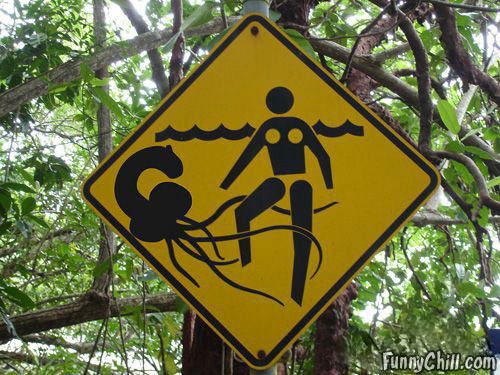 Bilder-Thread uh43048,1267793402,octopus-warning-sign