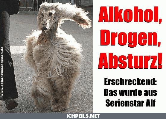 Bilder-Thread uh43048,1268086251,download