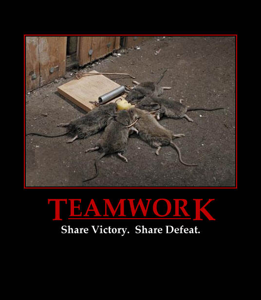 Bilder-Thread uh43048,1268143707,teamwork rats