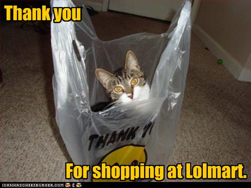 Bilder-Thread uh43048,1268297006,funny-pictures-cat-says-thank-you