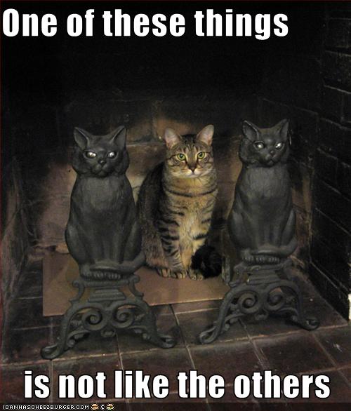 Bilder-Thread uh43048,1268297023,funny-pictures-cat-is-by-two-sculptures
