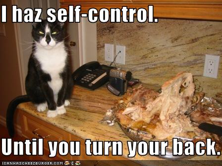 Bilder-Thread uh43048,1268297040,funny-pictures-cat-has-self-control-sort-of
