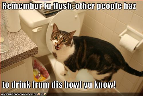 Bilder-Thread uh43048,1268297083,funny-pictures-cat-asks-you-to-flush