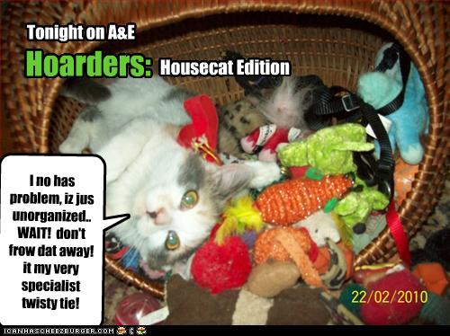 Bilder-Thread uh43048,1268297143,funny-pictures-cat-is-a-hoarder