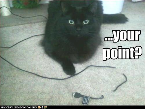 Bilder-Thread uh43048,1268297168,funny-pictures-cat-does-not-see-your-point