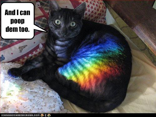 Bilder-Thread uh43048,1268297199,funny-pictures-cat-can-poop-rainbows