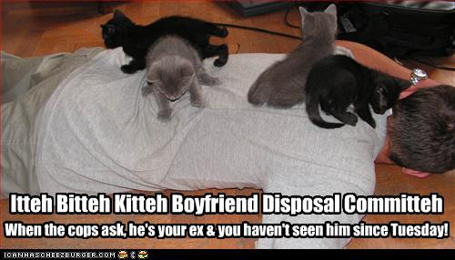 Bilder-Thread uh43048,1268297223,funny-pictures-kittens-dispose-of-boyfriend