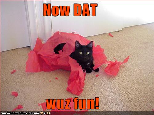 Bilder-Thread uh43048,1268297235,funny-pictures-cat-has-had-fun