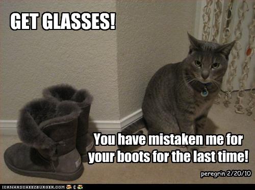Bilder-Thread uh43048,1268297262,funny-pictures-cat-looks-like-boots