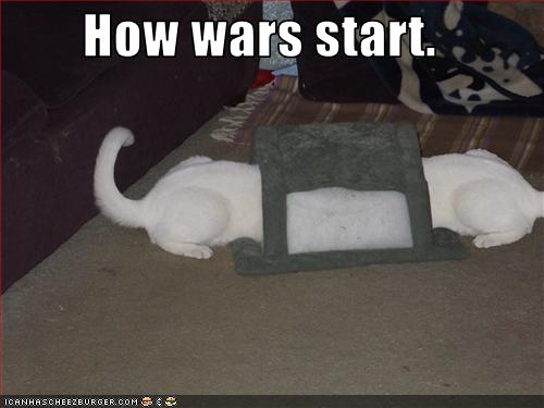Bilder-Thread uh43048,1268297275,funny-pictures-cats-have-war
