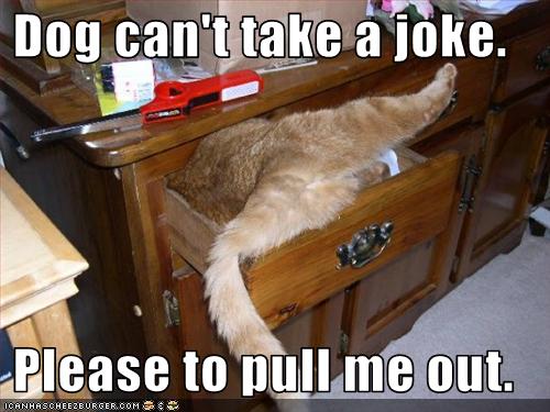 Bilder-Thread uh43048,1268297343,funny-pictures-cat-is-stuck-in-drawer