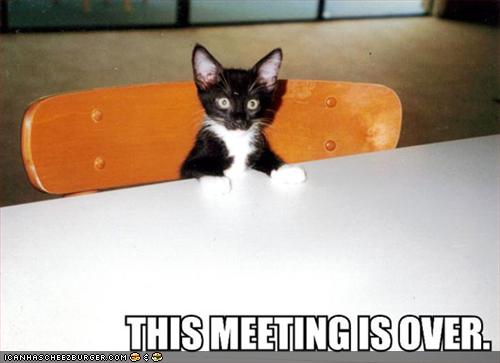 Bilder-Thread uh43048,1268297431,funny-pictures-kitten-ends-meeting2