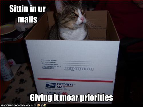 Bilder-Thread uh43048,1268297501,funny-pictures-cat-sits-in-box