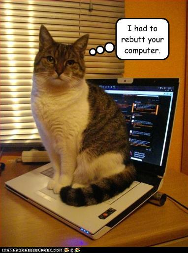 Bilder-Thread uh43048,1268297520,funny-pictures-cat-sits-on-your-laptop