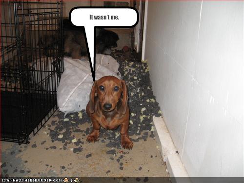 Bilder-Thread uh43048,1268308801,128709364719942827