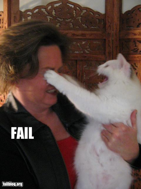Bilder-Thread uh43048,1268313114,bhec89d0ty60omwxi