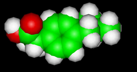 Bilder-Thread uh43048,1268666795,ibuprofen