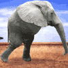 Bilder-Thread uh43048,1269352361,ek8m459txng8