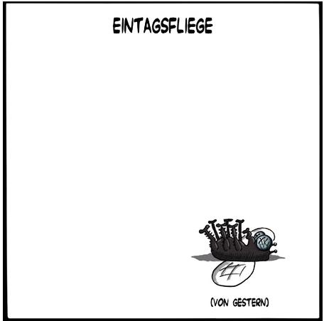 Bilder-Thread uh43048,1269380206,bhqv0694bia2voeli