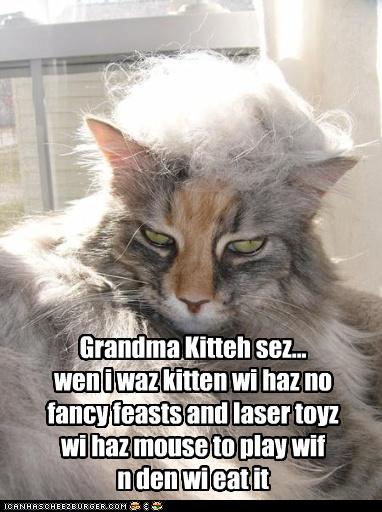 Bilder-Thread uh43048,1269419239,funny-pictures-cat-is-grandmother
