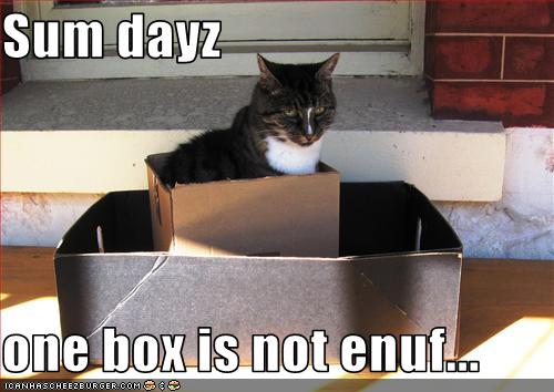 Bilder-Thread uh43048,1269419249,funny-pictures-cat-needs-two-boxes