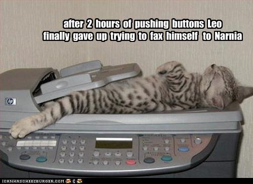 Bilder-Thread uh43048,1269419290,funny-pictures-kitten-faxes-himself