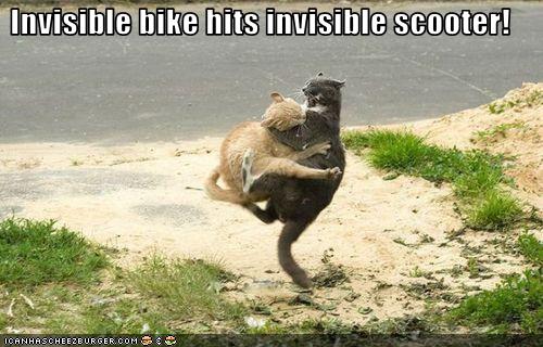 Bilder-Thread uh43048,1269419344,funny-pictures-cats-collide