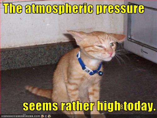Bilder-Thread uh43048,1269419410,funny-pictures-cat-feels-atmospheric-pressure