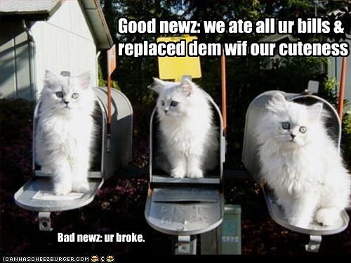Bilder-Thread uh43048,1269419427,funny-pictures-cats-ate-your-bills