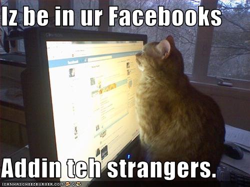 Bilder-Thread uh43048,1269419576,funny-pictures-cat-is-on-facebook