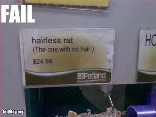 Bilder-Thread uh43048,1269419744,epic-fail-obvious-fail