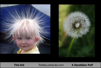Bilder-Thread uh43048,1269419957,this-kid-totally-looks-like-a-dandelion-puff