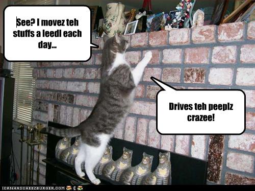 Bilder-Thread uh43048,1269525390,funny-pictures-cat-moves-stuff