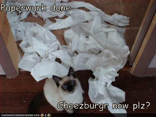 Bilder-Thread uh43048,1269525403,funny-pictures-cat-did-paperwork