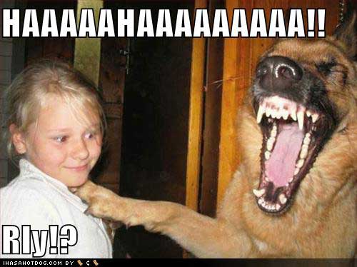 Bilder-Thread uh43048,1269657231,funny-dog-pictures-laughing-at-little-girl