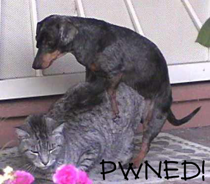 Bilder-Thread uh43048,1269809515,pwned
