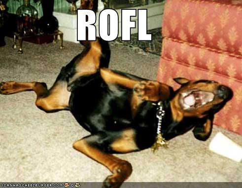 Bilder-Thread uh43048,1269809693,rofl128470858931406250