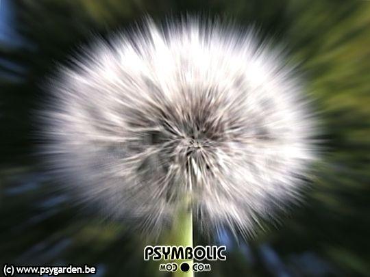 Bilder-Thread uh43048,1269946873,05