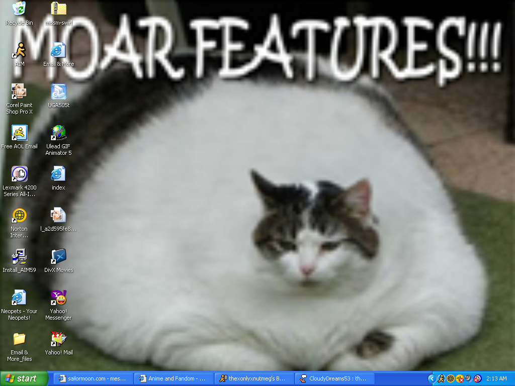 Bilder-Thread uh43048,1269991045,Epic Fail Cat Desktop by Kyuubi san