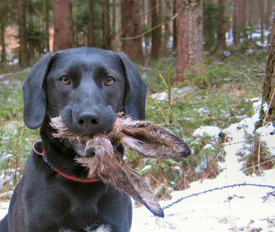Bilder-Thread uh43048,1270290159,ostern faellt aus
