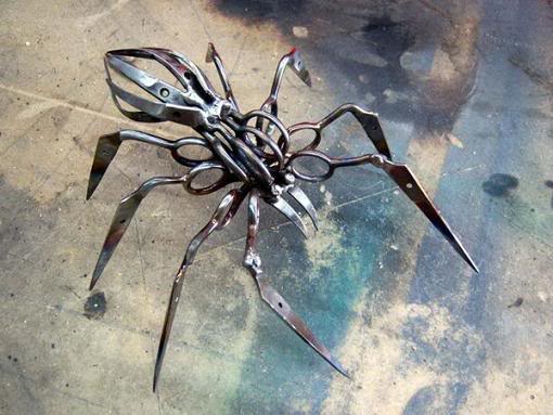 Bilder-Thread uh43048,1270470218,scissor spider 014