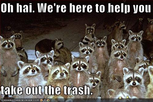 Bilder-Thread uh43048,1270494339,funny-pictures-raccoons-are-here-to-help-you