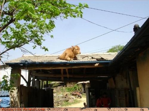 Bilder-Thread uh43048,1270661687,129122076353964213