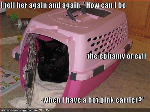 Bilder-Thread uh43048,1270720862,funny-pictures-cat-has-pink-carrier