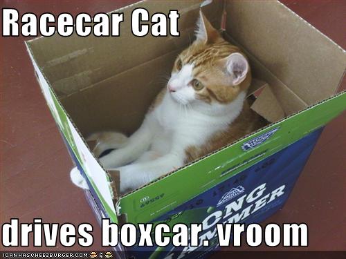 Bilder-Thread uh43048,1270720874,funny-pictures-cat-drives-boxcar