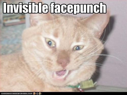 Bilder-Thread uh43048,1270720904,funny-pictures-cat-gets-punched-invisibly