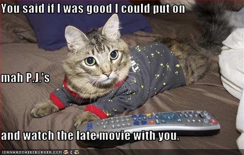 Bilder-Thread uh43048,1270720936,funny-pictures-cat-was-good