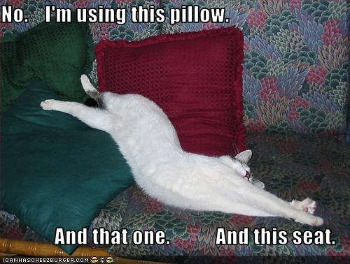Bilder-Thread uh43048,1270720991,funny-pictures-cat-is-using-couch