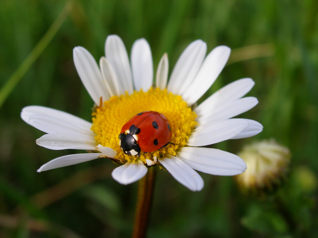 Bilder-Thread uh43048,1270746195,492841422 b839924f73 o