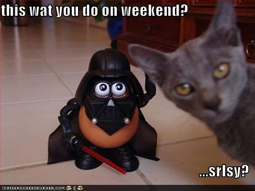 Bilder-Thread uh43048,1270886766,funny-pictures-is-this-what-you-do-on-the-weekend